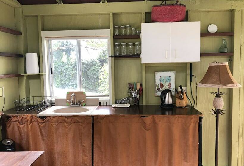 مبيت وإفطار Dragonfly Ranch