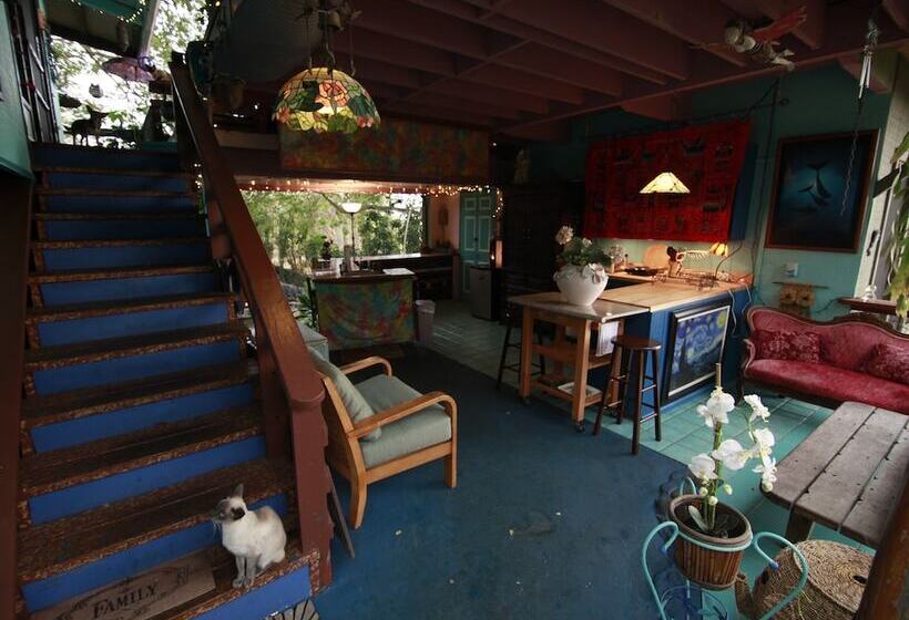 مبيت وإفطار Dragonfly Ranch