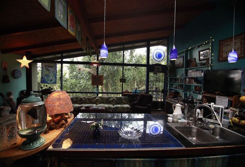 مبيت وإفطار Dragonfly Ranch