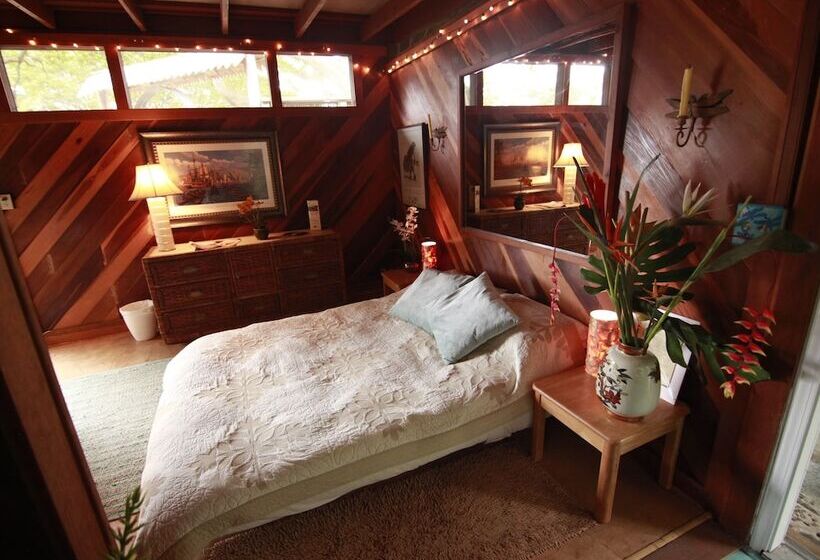 مبيت وإفطار Dragonfly Ranch