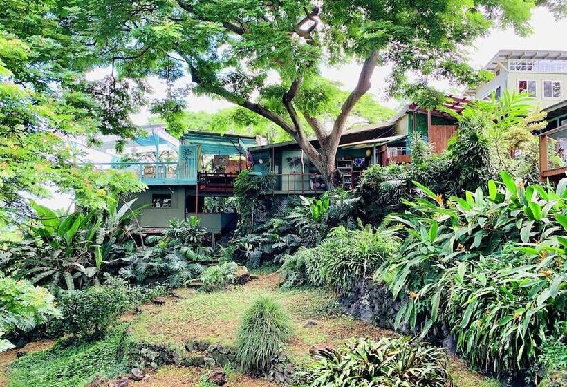 مبيت وإفطار Dragonfly Ranch