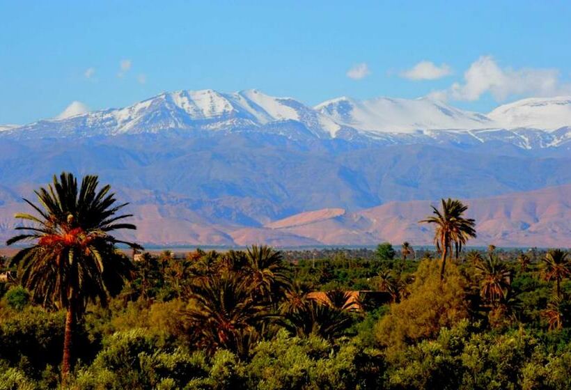 تختخواب و صبحانه Kasbah El Mehdaoui