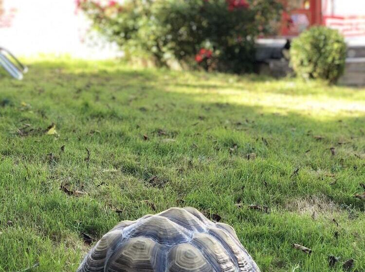 Bed and Breakfast Home Paradis & Spa   Ecolodge