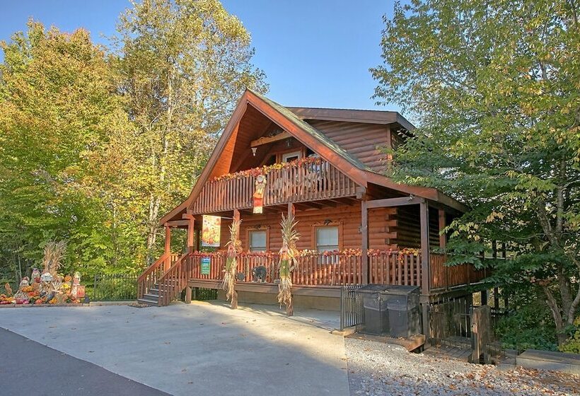 Boulder Bear Lodge #355