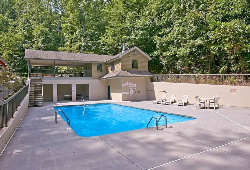 Boulder Bear Lodge #355