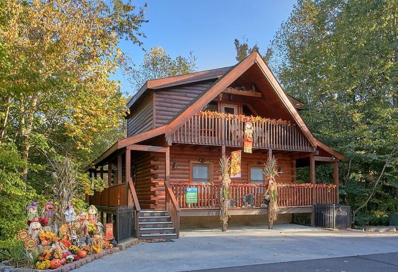 Boulder Bear Lodge #355