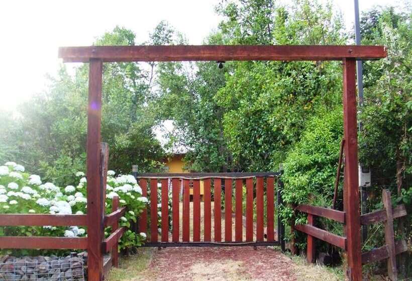 Cabana Pudomo En Conaripe Con Hot Tub Exclusivo