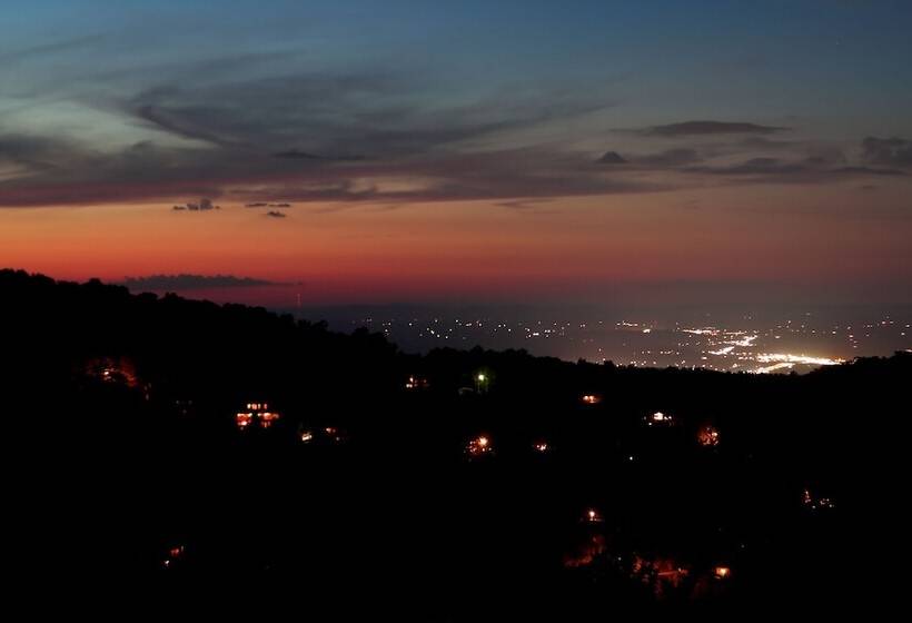 Emerald City Lights #203