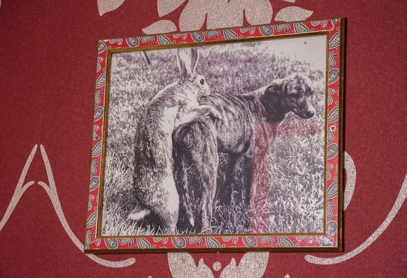 Hamilton's Bed & Breakfast