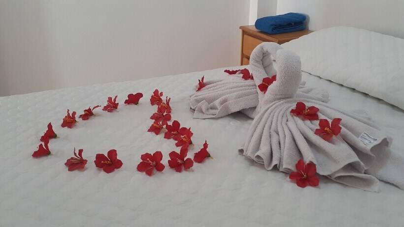 مسافرخانه Backpakers Oasis De Moron