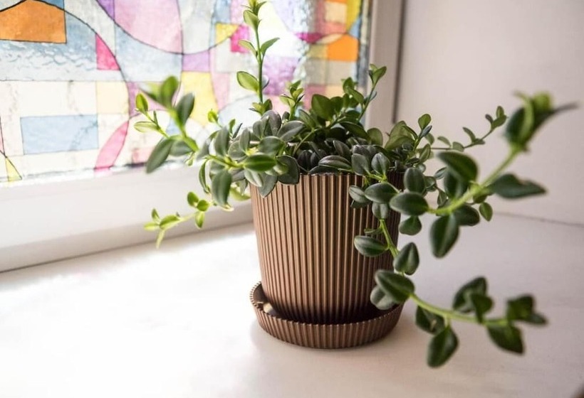 Hostel3952 Irkutsk On Marata