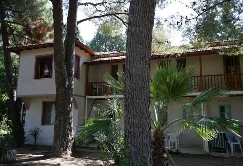 Отель Altin Camp & Park