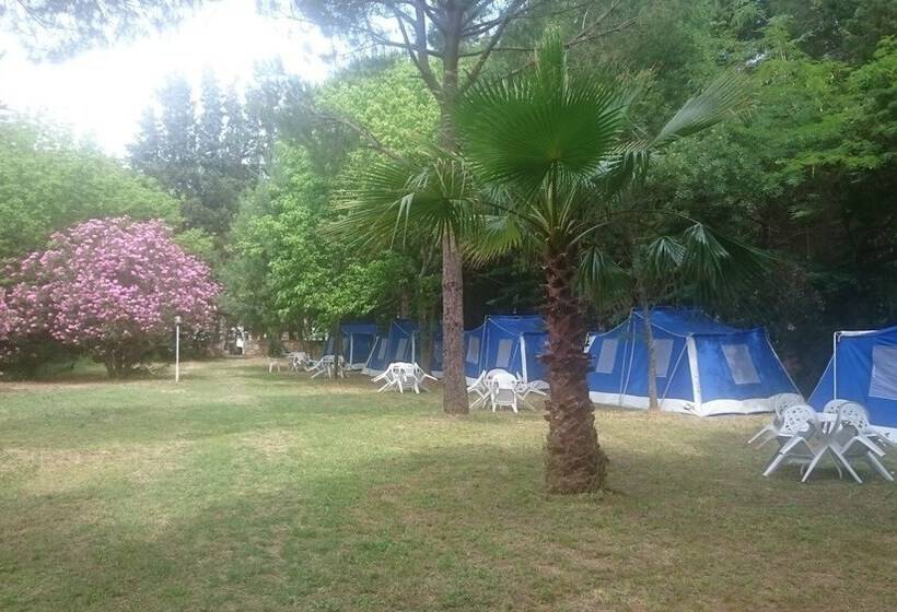 Отель Altin Camp & Park