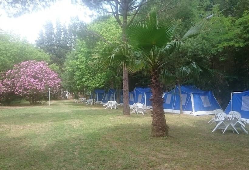 Отель Altin Camp & Park