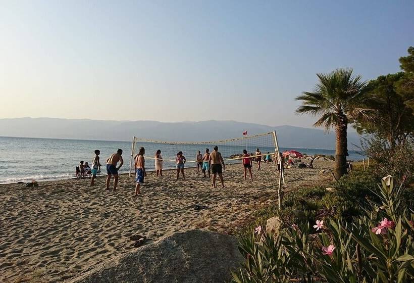 Отель Altin Camp & Park