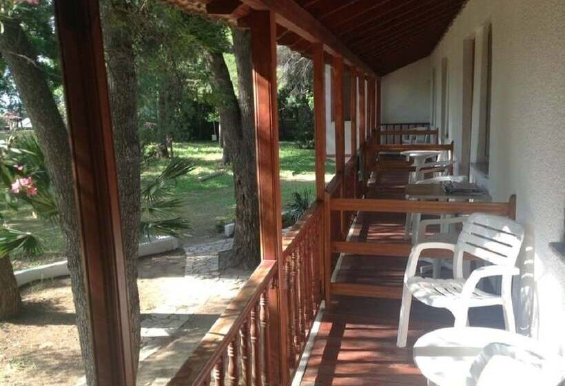 Отель Altin Camp & Park