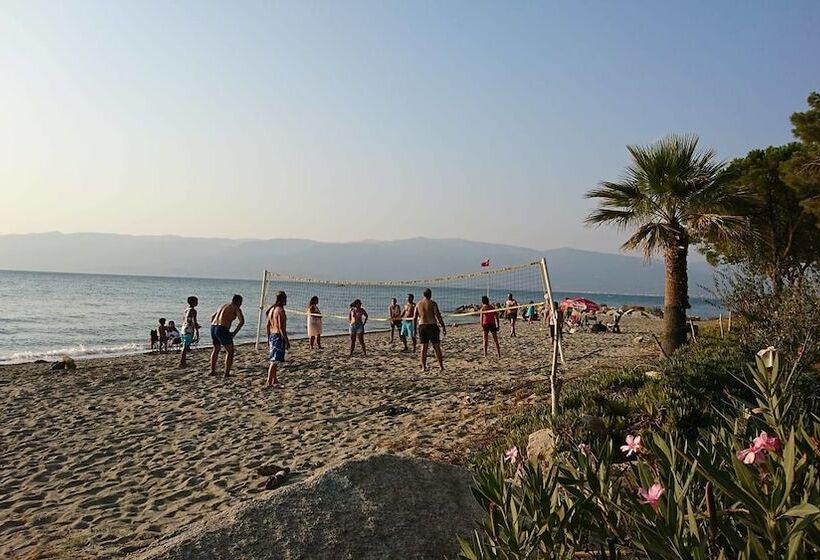 Отель Altin Camp & Park