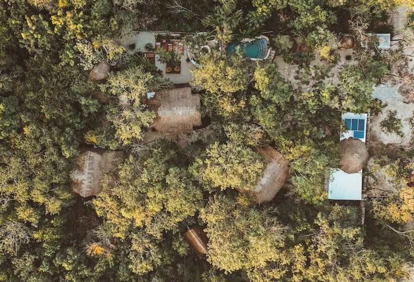 בית מלון כפרי Anand Ecoaldea