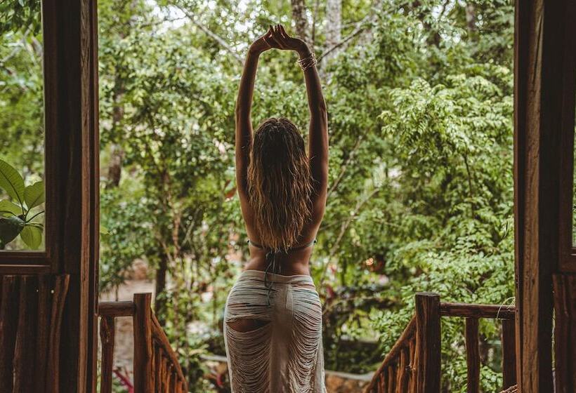 בית מלון כפרי Anand Ecoaldea