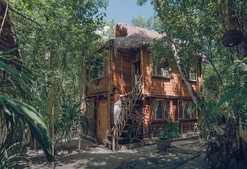 בית מלון כפרי Anand Ecoaldea