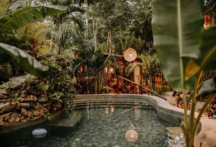 בית מלון כפרי Anand Ecoaldea