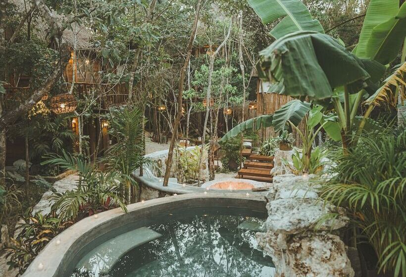 בית מלון כפרי Anand Ecoaldea