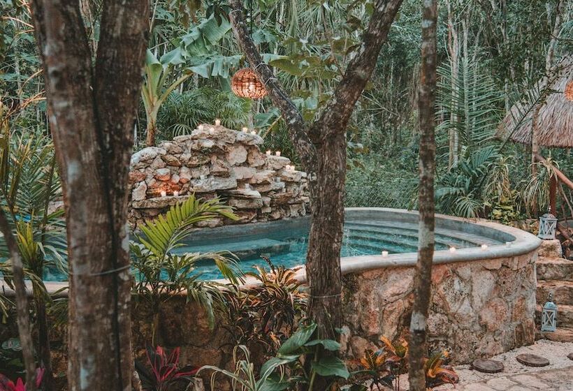 בית מלון כפרי Anand Ecoaldea