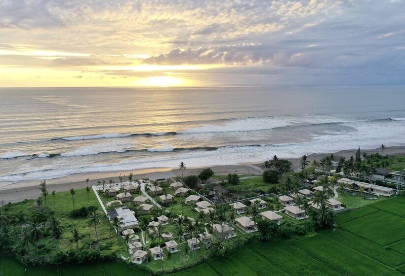 בית מלון כפרי Bali Beach Glamping