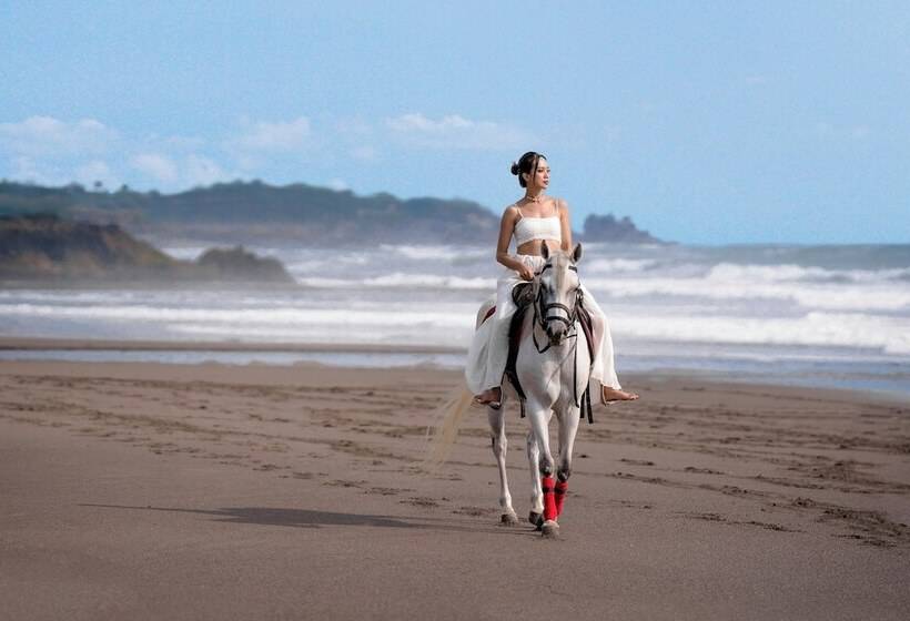 בית מלון כפרי Bali Beach Glamping