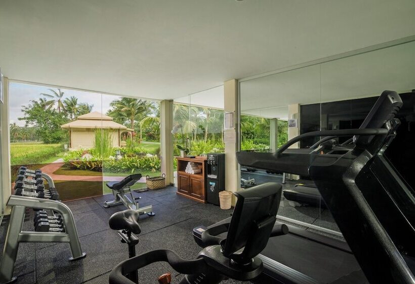 בית מלון כפרי Bali Beach Glamping