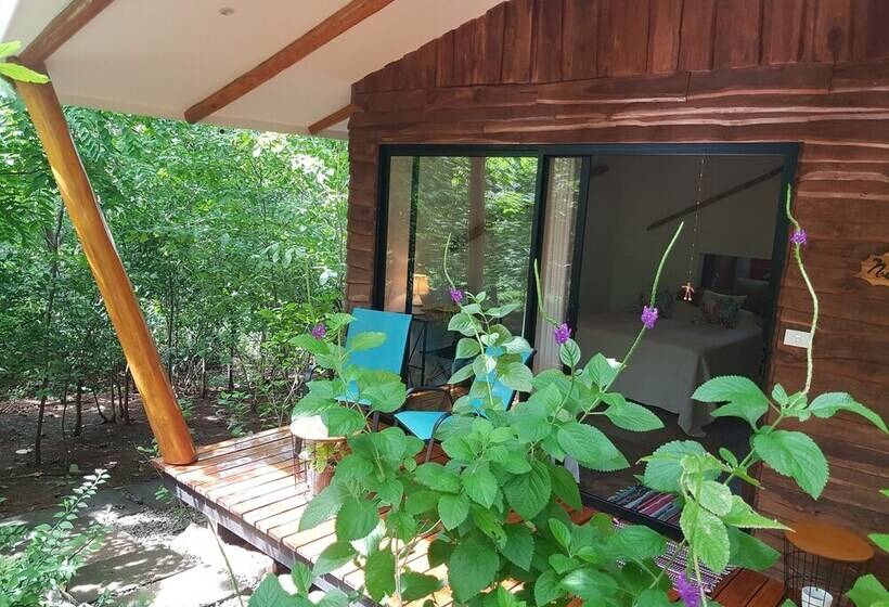 ホテル Baliyana Lodge