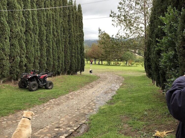 فندق Boutique Calderon