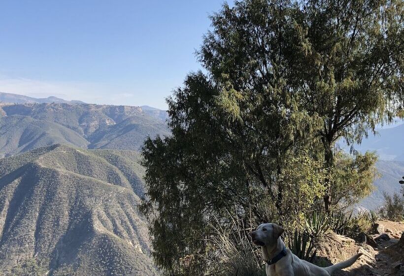 فندق Boutique Calderon