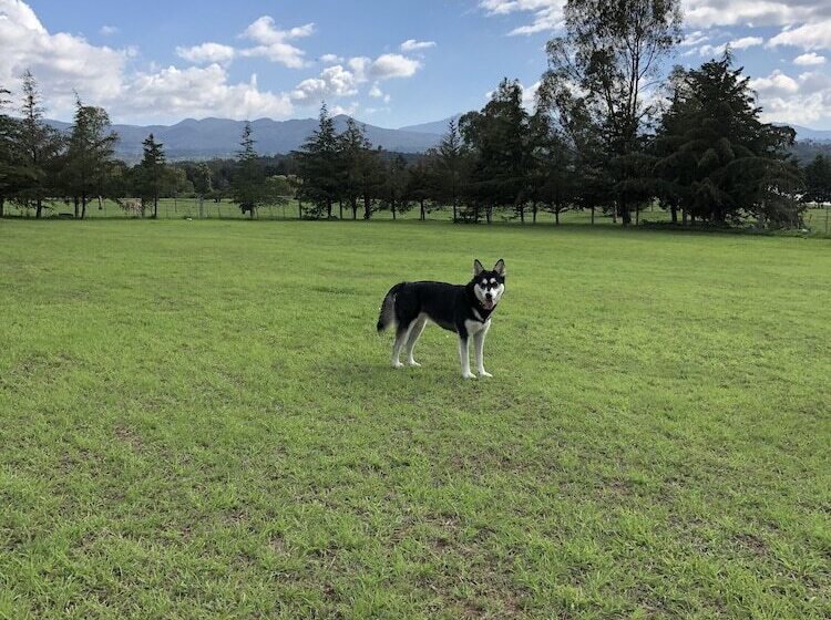 فندق Boutique Calderon