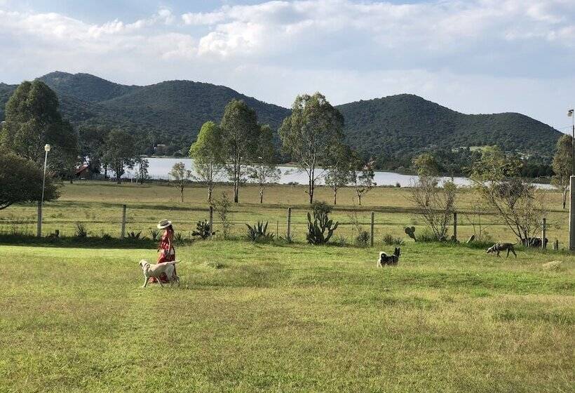 فندق Boutique Calderon