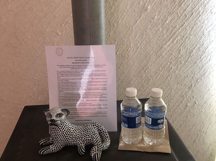 فندق Boutique Calderon