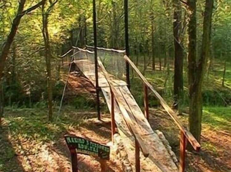 هتل Cabañas Am Bach