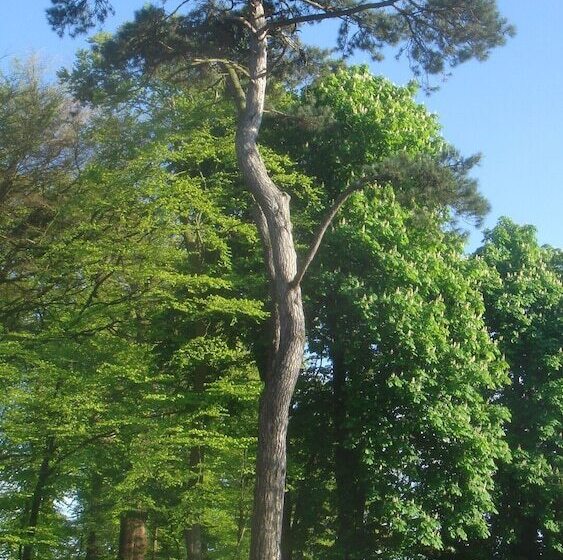 ホテル Chateau De Janville