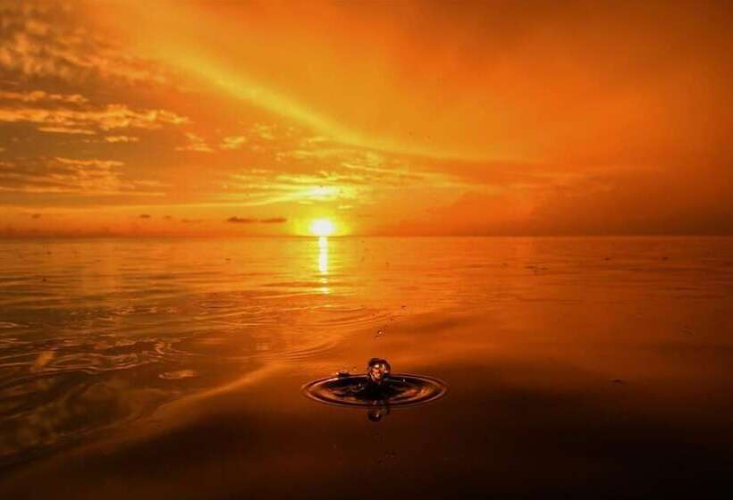 호텔 Coco's Beachfront Cabanas