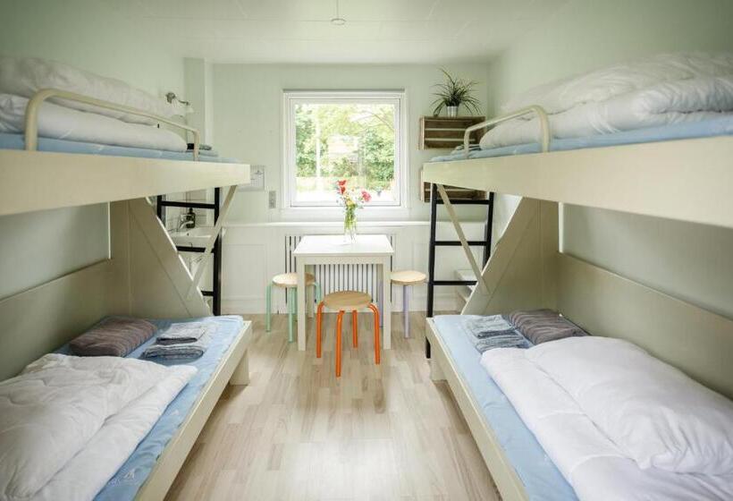 فندق Danhostel Stevns