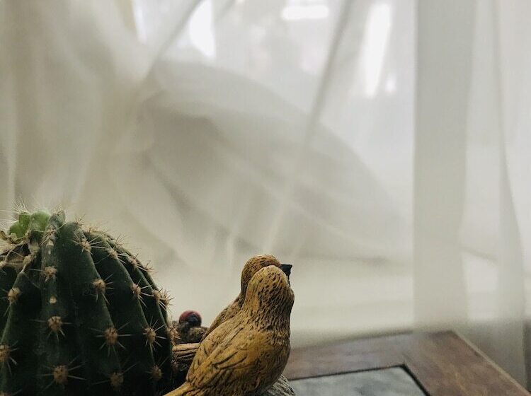 ホテル Efnan Butik