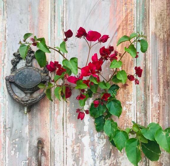 ホテル Efnan Butik