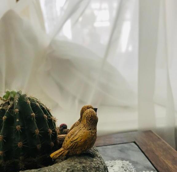 ホテル Efnan Butik