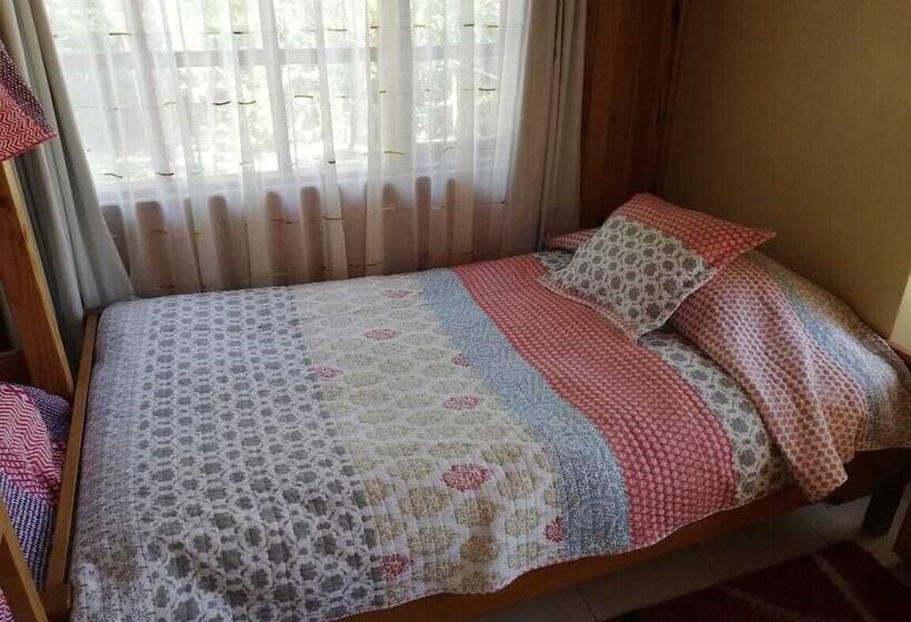 בית מלון כפרי El Boldo Magico