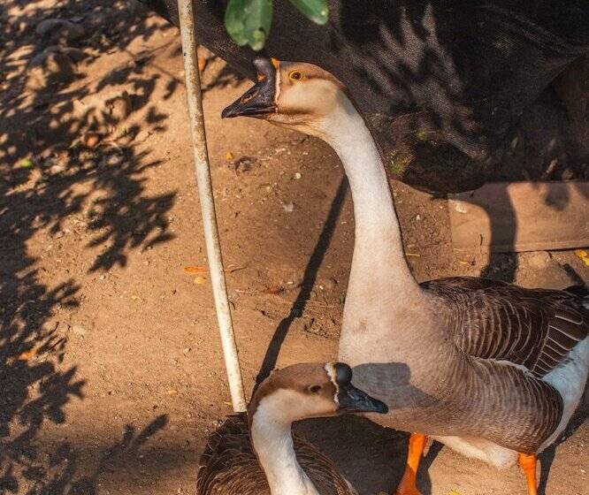 فندق Familia Casa Blanca