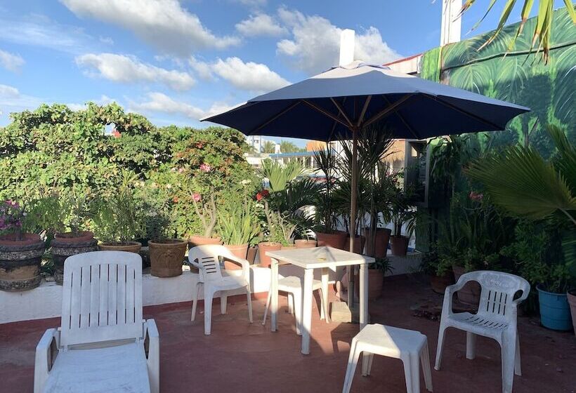 בית מלון כפרי Fenix