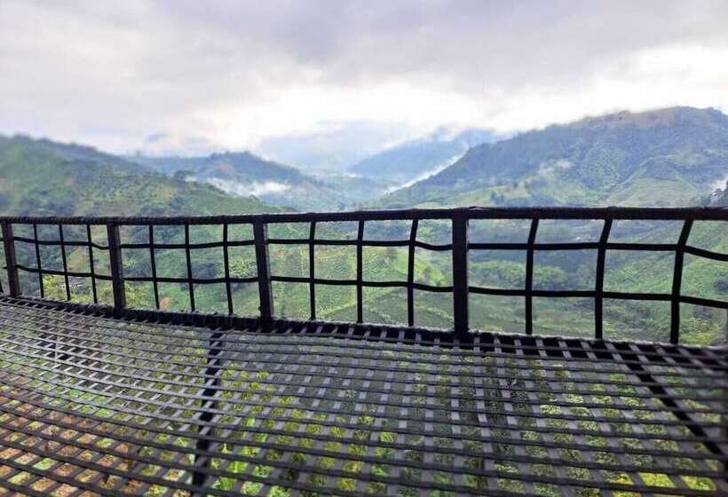 Отель Finca Campestre Villa Del Campo