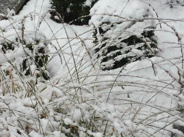 호텔 Hostellerie L Authentique