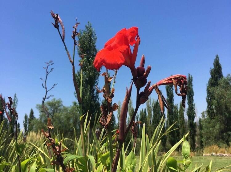 هتل Finca La Escondida San Rafael