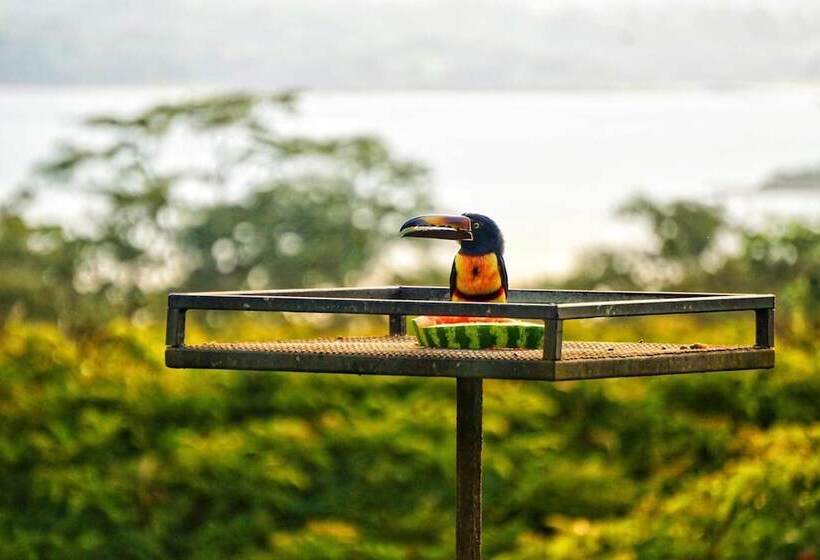 בית מלון כפרי Lake Gardens Arenal Villas